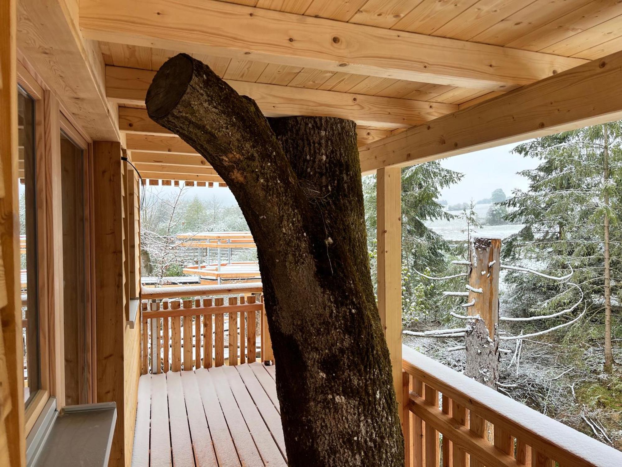 Wald Ist Zukunft Hotel Bernbeuren ภายนอก รูปภาพ