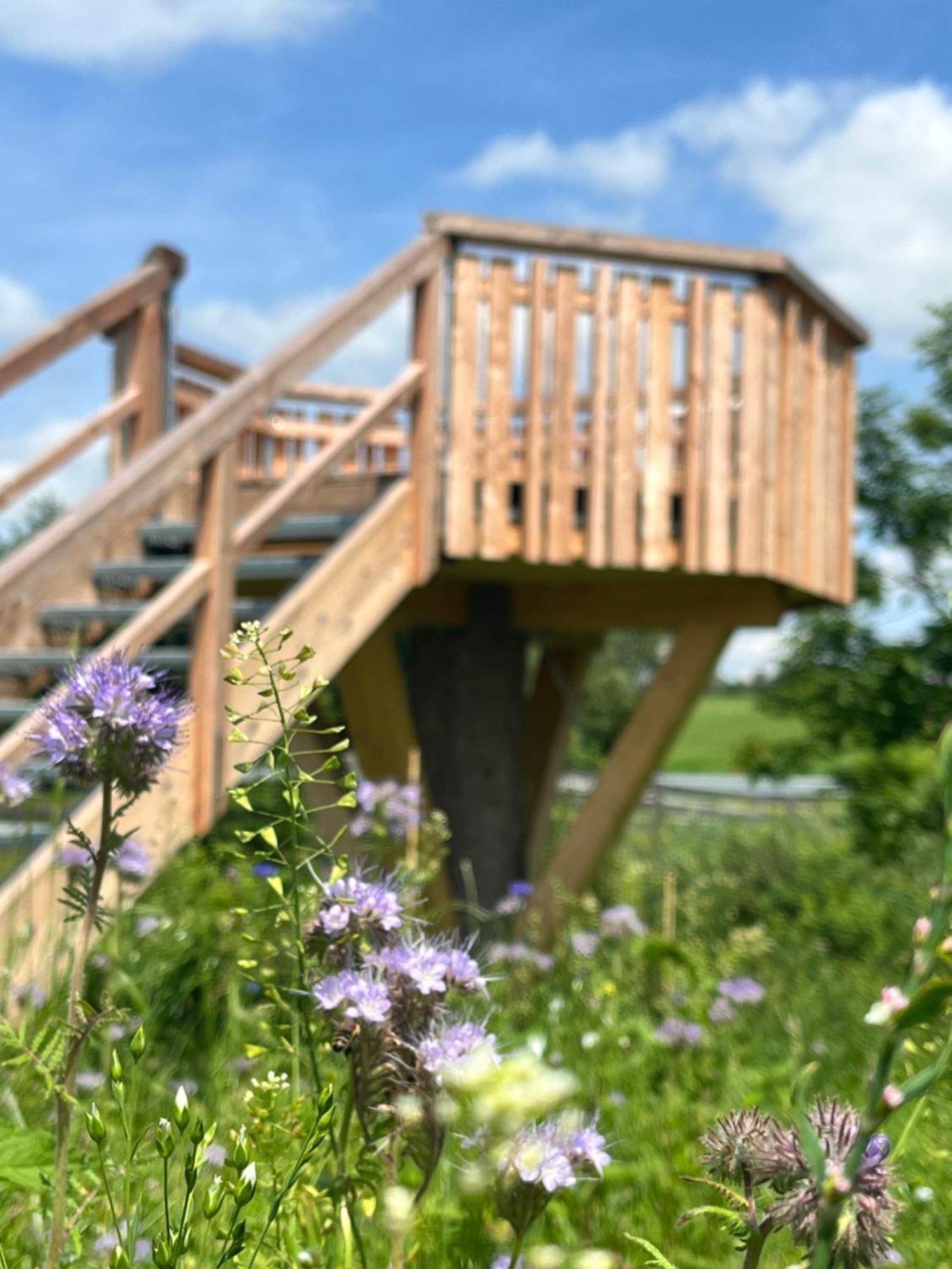 Wald Ist Zukunft Hotel Bernbeuren ภายนอก รูปภาพ