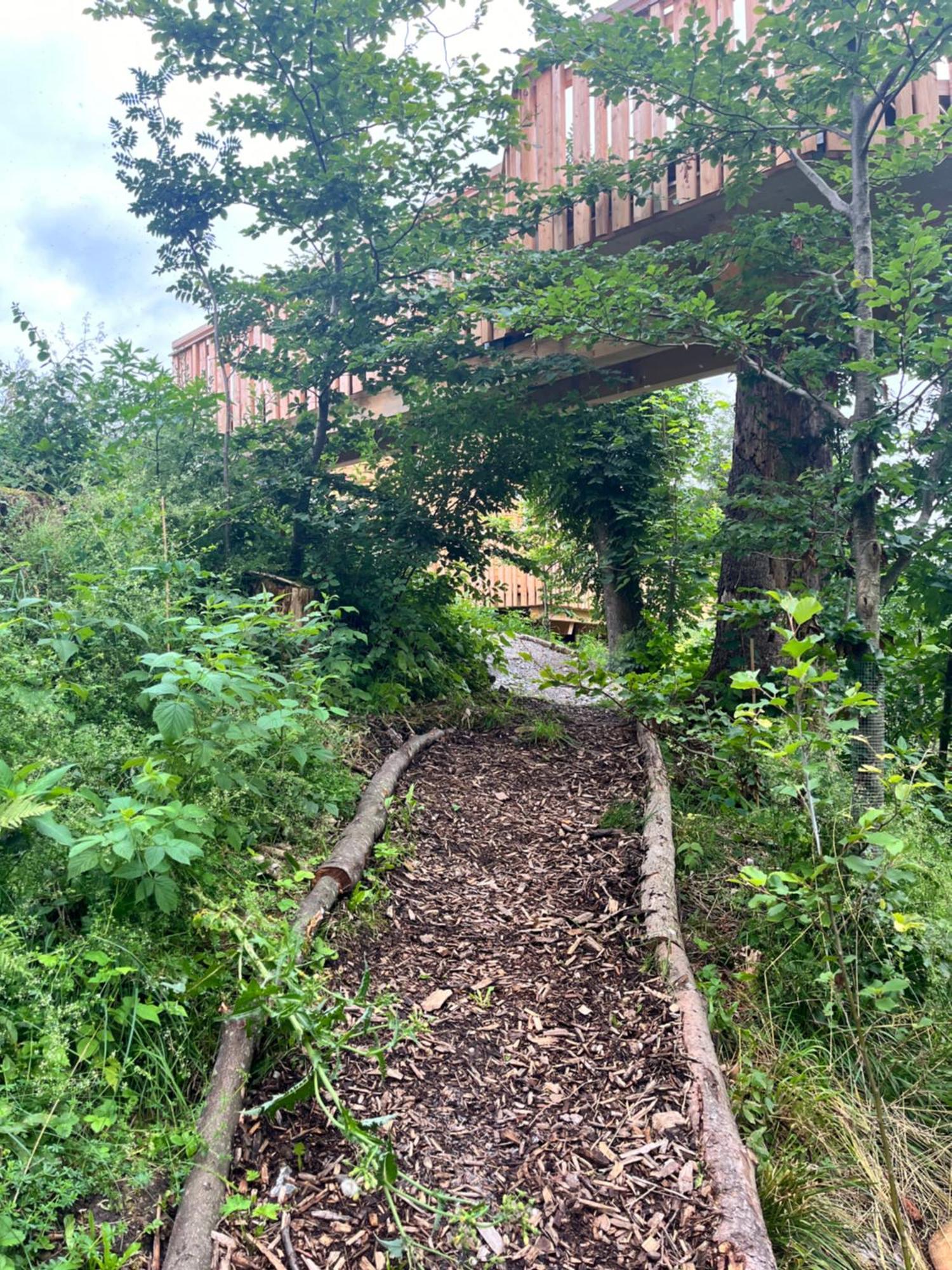 Wald Ist Zukunft Hotel Bernbeuren ภายนอก รูปภาพ