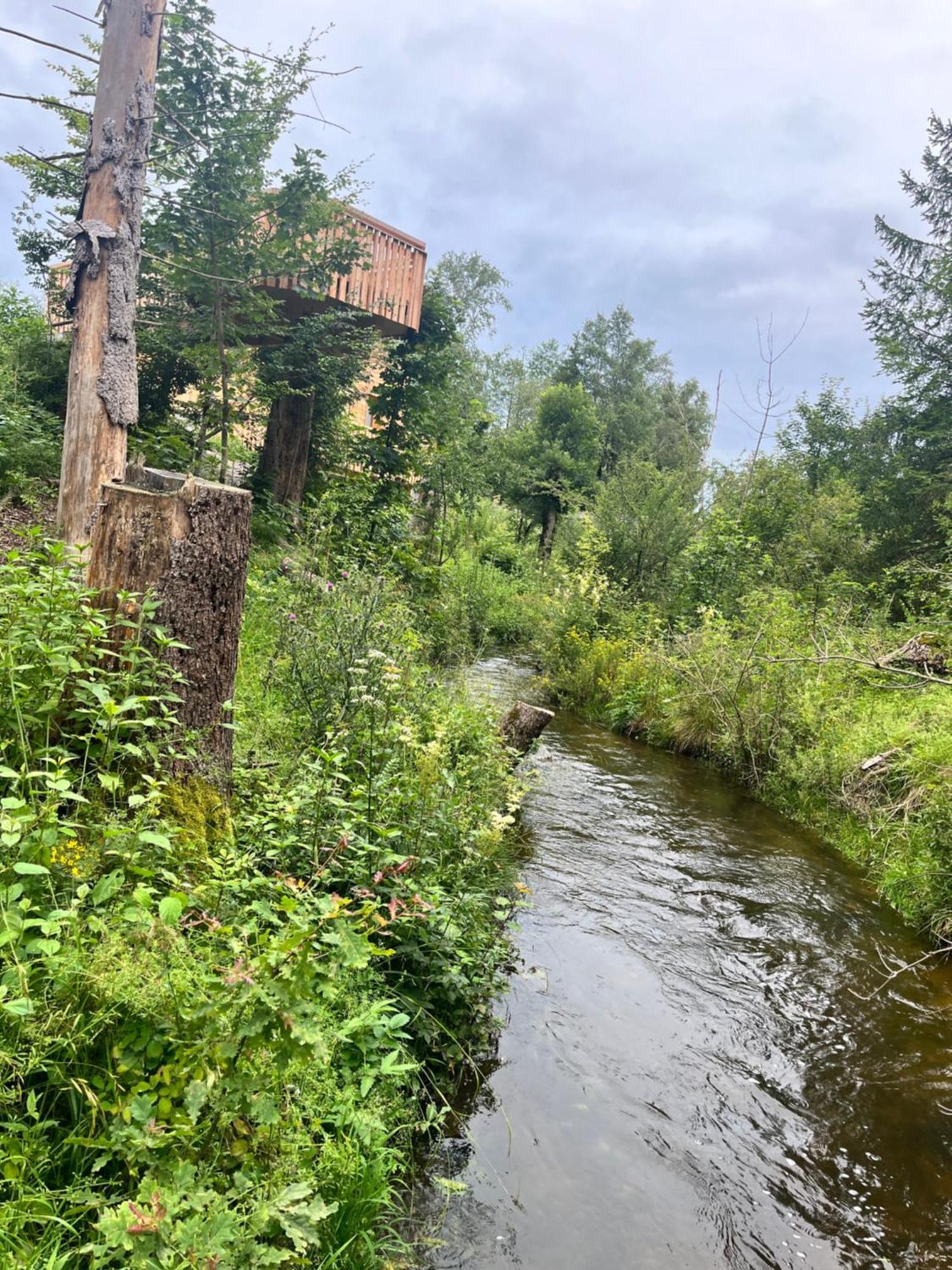 Wald Ist Zukunft Hotel Bernbeuren ภายนอก รูปภาพ