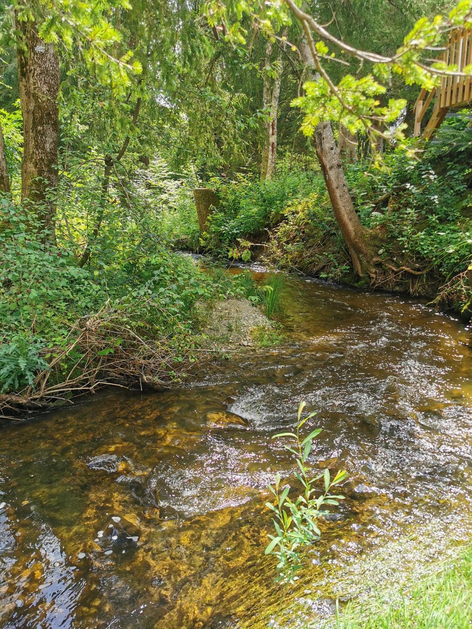 Wald Ist Zukunft Hotel Bernbeuren ภายนอก รูปภาพ