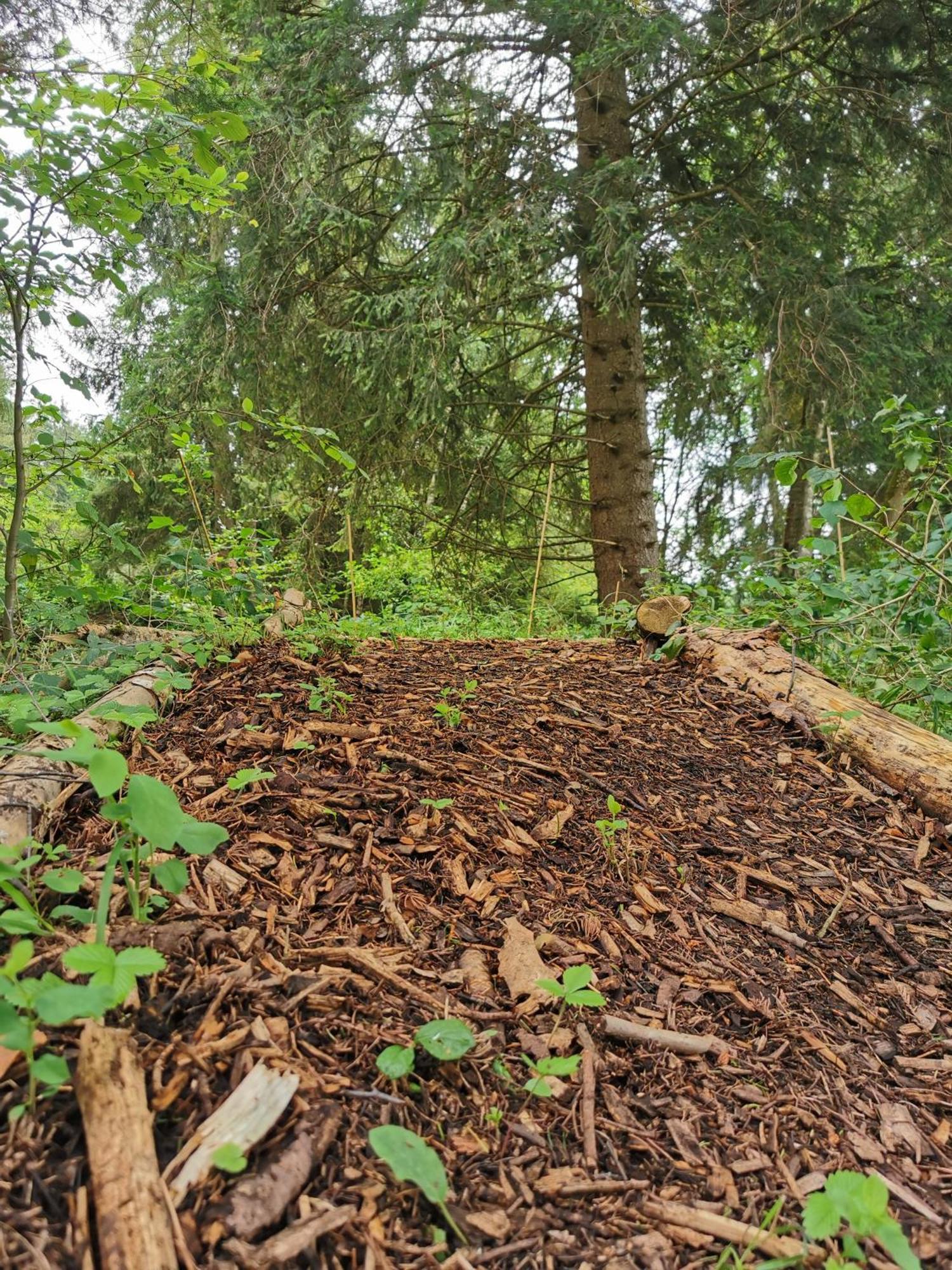 Wald Ist Zukunft Hotel Bernbeuren ภายนอก รูปภาพ