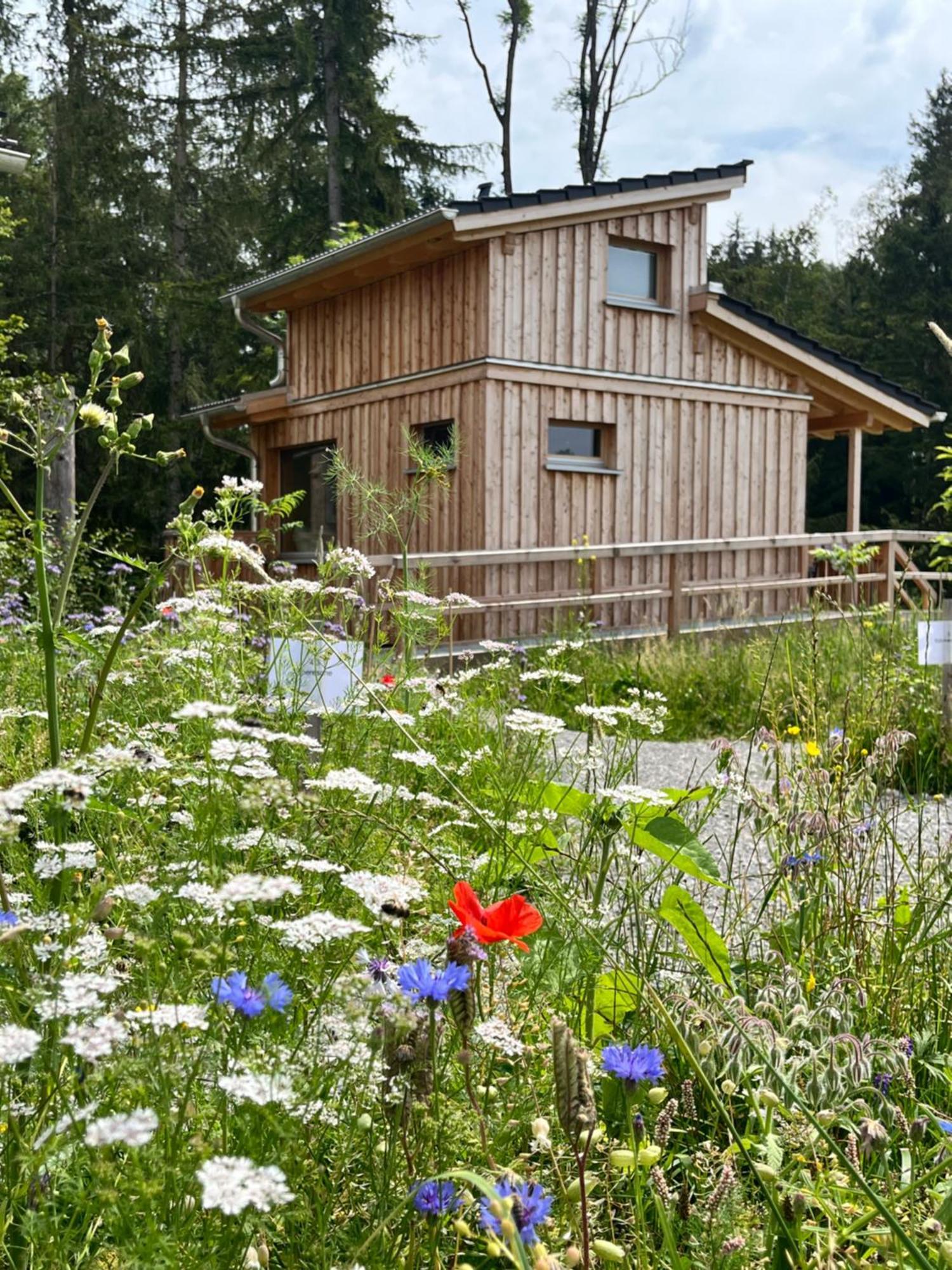 Wald Ist Zukunft Hotel Bernbeuren ภายนอก รูปภาพ