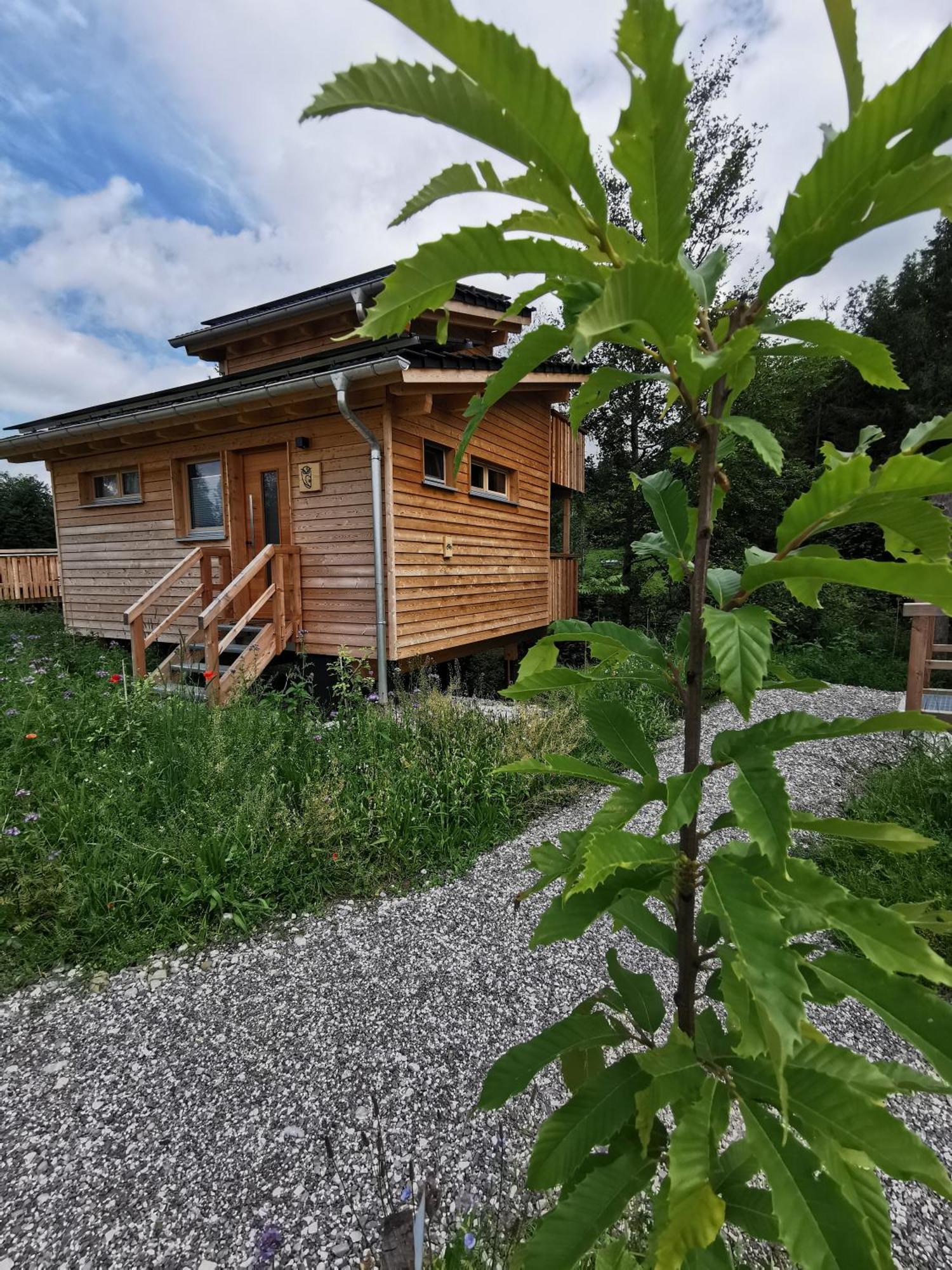 Wald Ist Zukunft Hotel Bernbeuren ภายนอก รูปภาพ