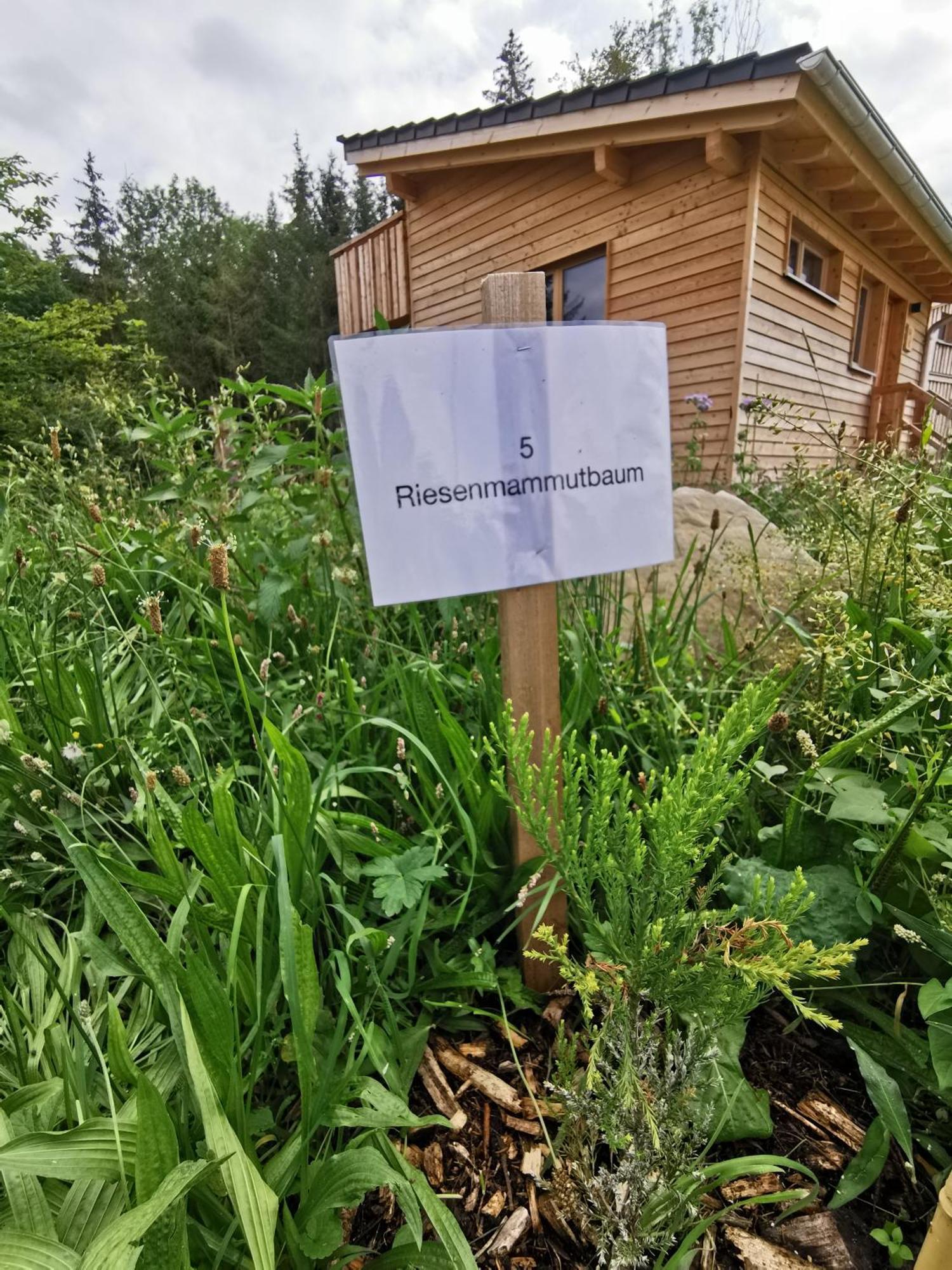 Wald Ist Zukunft Hotel Bernbeuren ภายนอก รูปภาพ